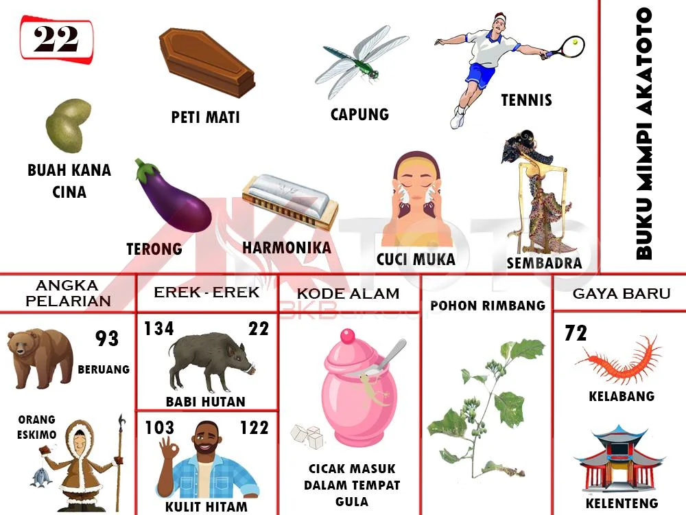 buku mimpi erek erek togel 22