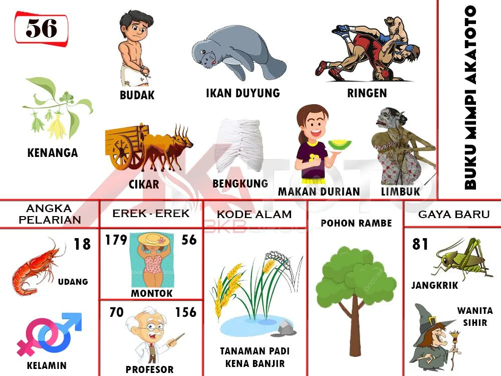 buku mimpi erek erek togel 56